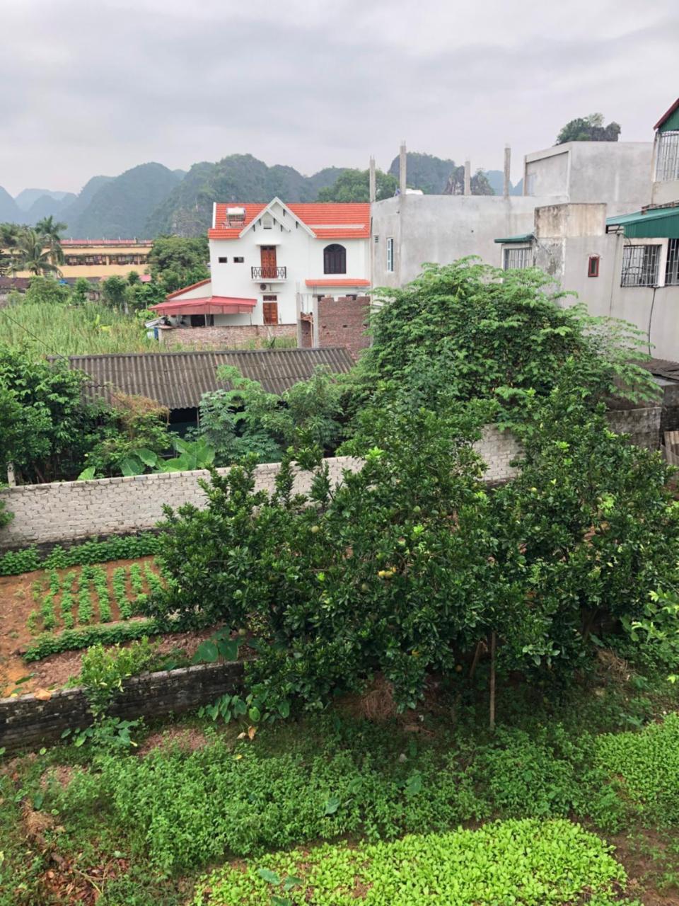 Tam Coc - Thanh Homestay Ninh Binh Exteriér fotografie