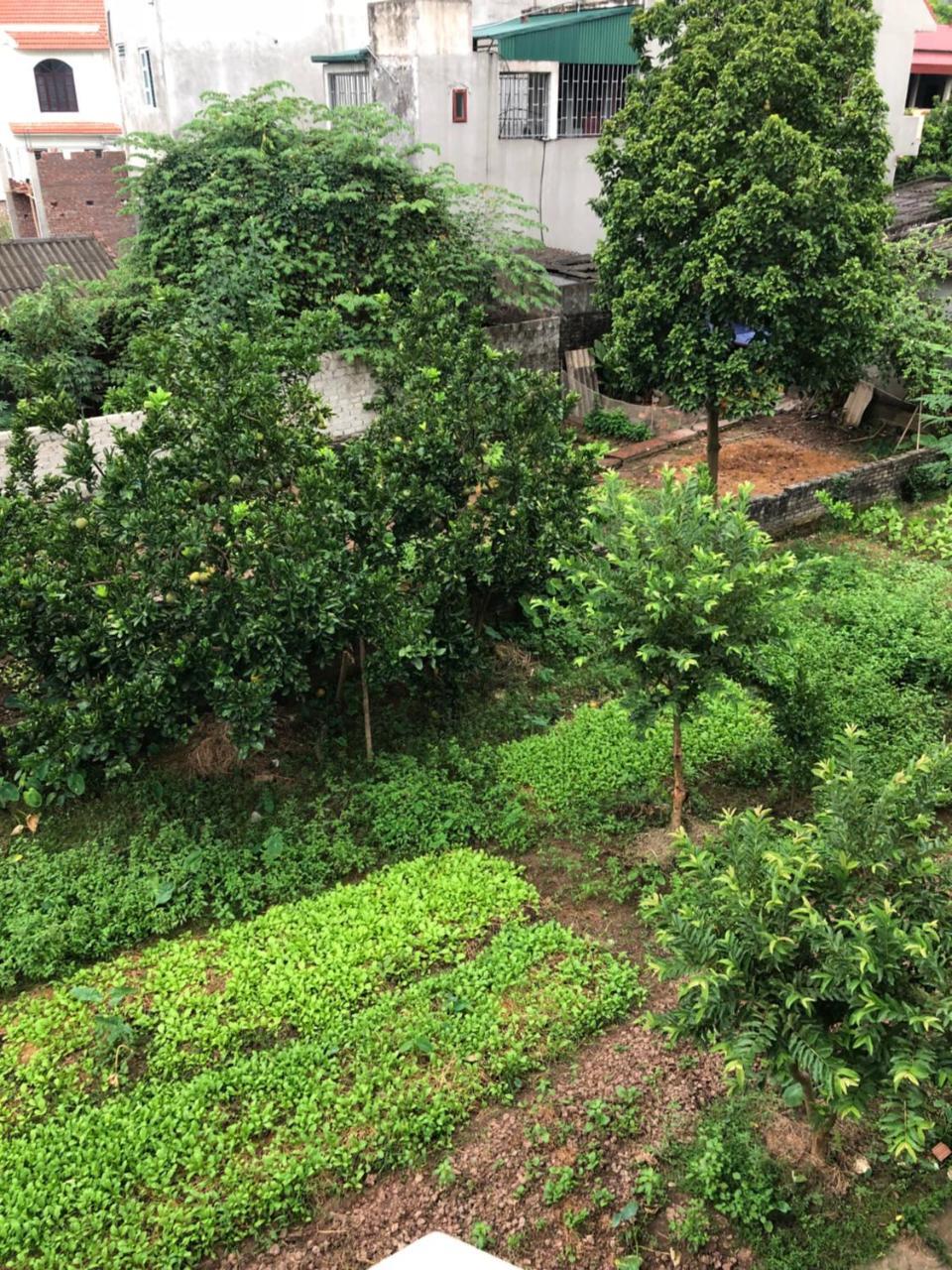 Tam Coc - Thanh Homestay Ninh Binh Exteriér fotografie